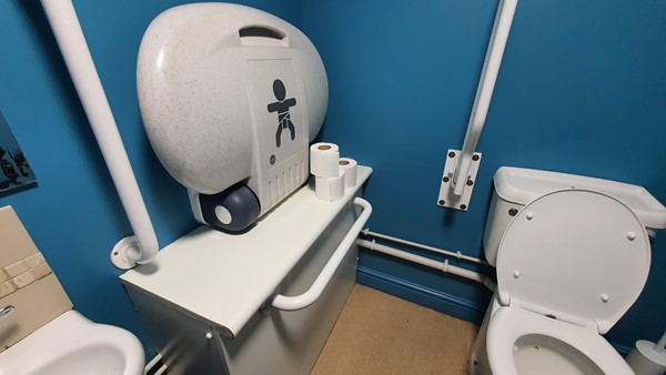 The disabled toilet, including the intrusion into the transfer space.