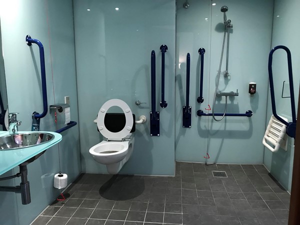 Accessible Toilet