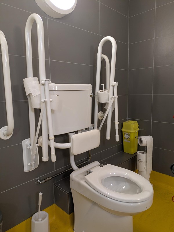 Image of toilet seat in the Changing Places toilet