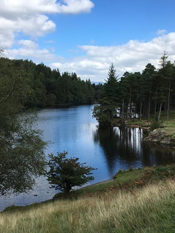 Picture of Tarn Hows