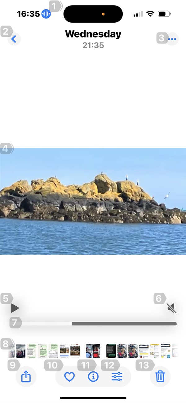 Gnome Island 🤪