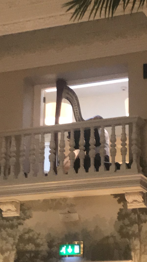 The harpist playing happy birthday!