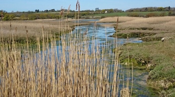 Western Yar Estuary Easy Access Ramble