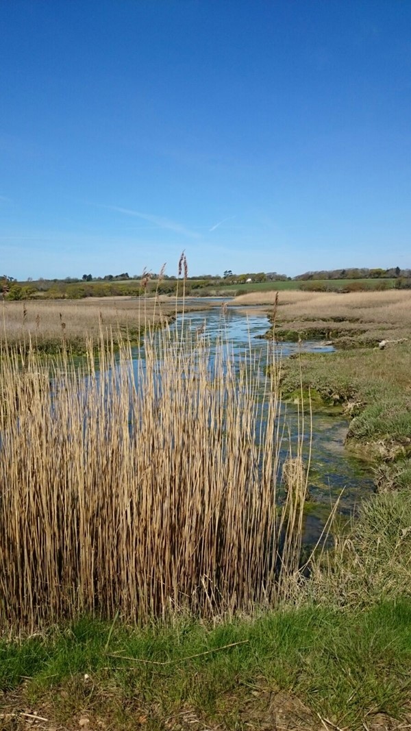 Picture of Western Yar Estuary Easy Access Walk