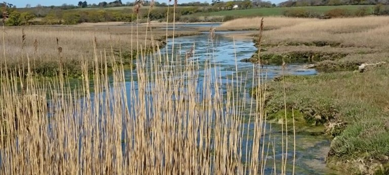 Western Yar Estuary Easy Access Ramble