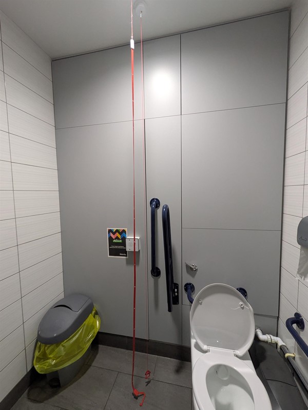 Image of a toilet with a red cord, and red emergency strip hanging from the ceiling