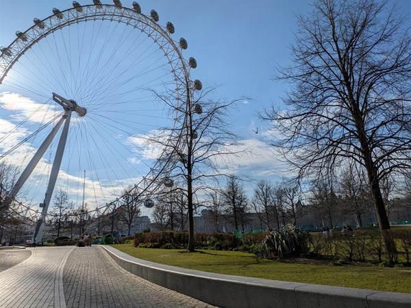 Image of the london eye