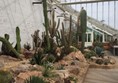 Picture of Dyffryn Gardens