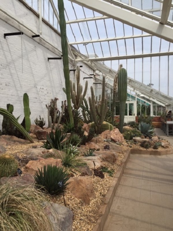 Picture of Dyffryn Gardens