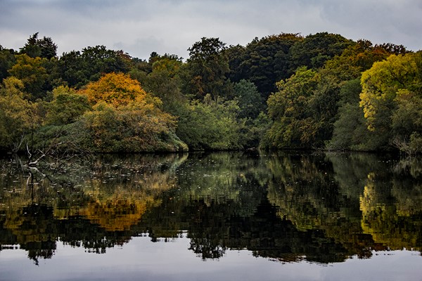 Bolam Lake