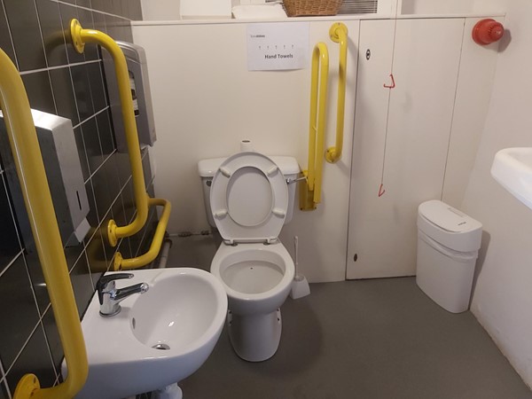 Picture of accessible toilet