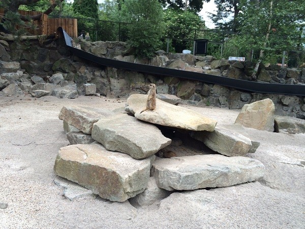 Picture of Edinburgh Zoo