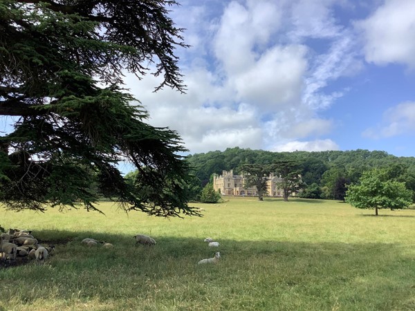 Picture of Dumbleton Hall in a field