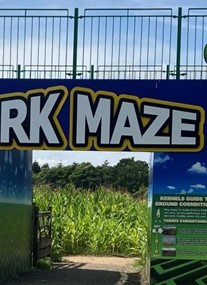 York Maze