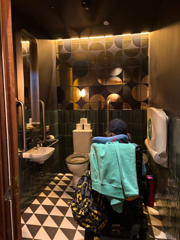 Image of a person in an accessible toilet