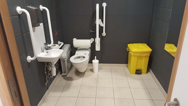 Accessible toilet