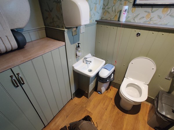 Image of a large toilet interior