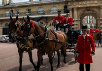 BSL interpreted tour: Royal Mews