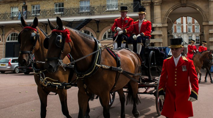 BSL interpreted tour: Royal Mews