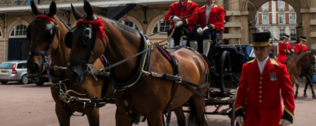 BSL interpreted tour: Royal Mews article image