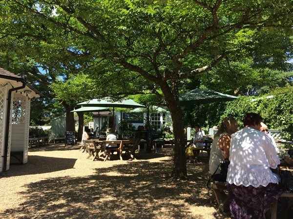 Outside café eating area