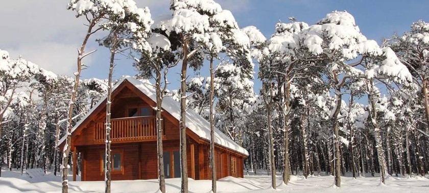 Hill of Maunderlea Lodges