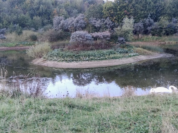 Ponds with plenty of birds and other wildlife. Viewing area was grass so could be tricky for some chairs.