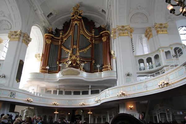 main organ