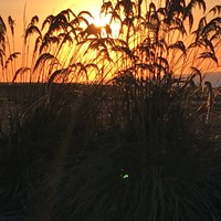 Sun setting outside our present house