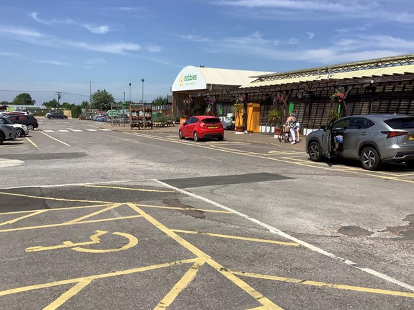 Picture of Dobbies Garden Centre Aylesbury