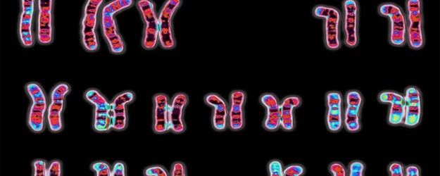 Packed Lunch: Chromosomes and Mental Health article image