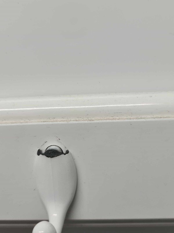 Coat peg