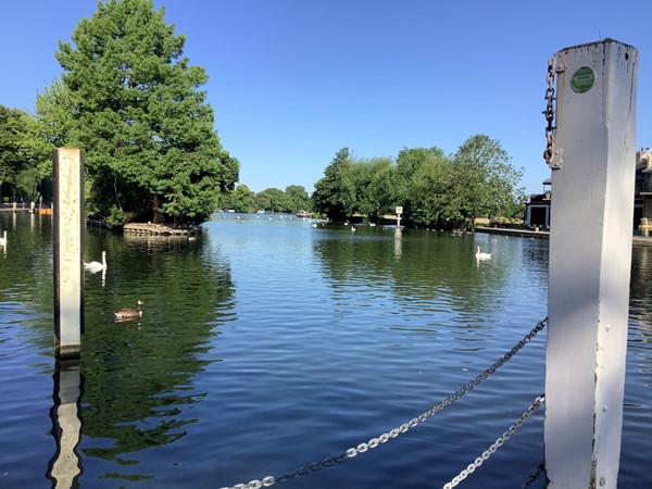 Picture of Windsor