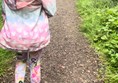 Woodland path on the okay trail