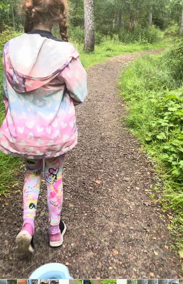 Woodland path on the okay trail