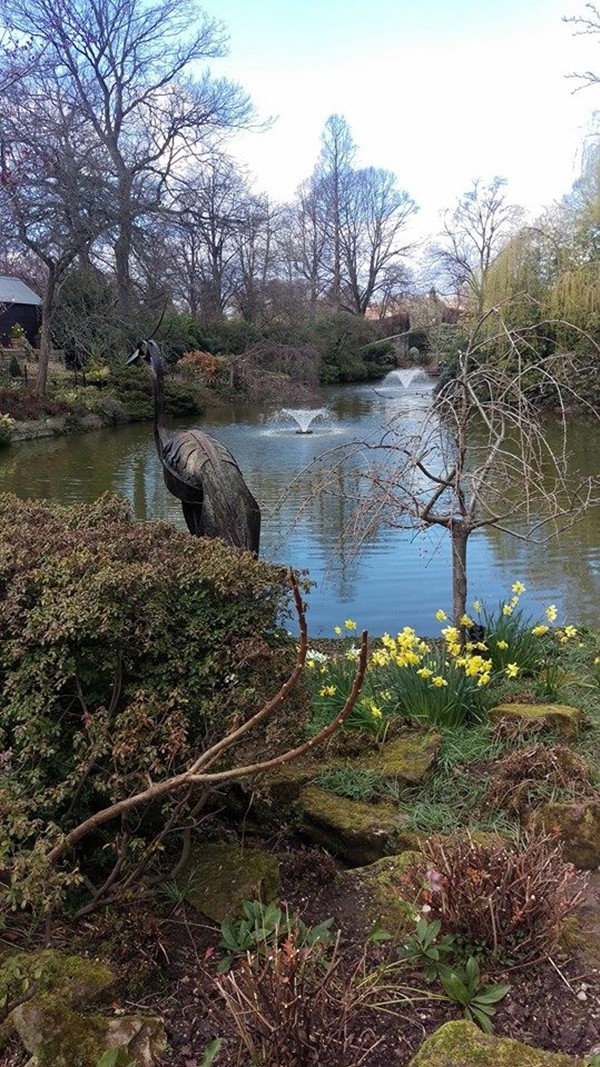 Picture of Venue The Quarry and The Dingle, Shrewsbury