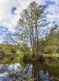 St Andrews Botanic Garden