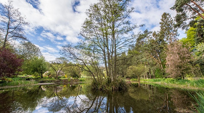 St Andrews Botanic Garden