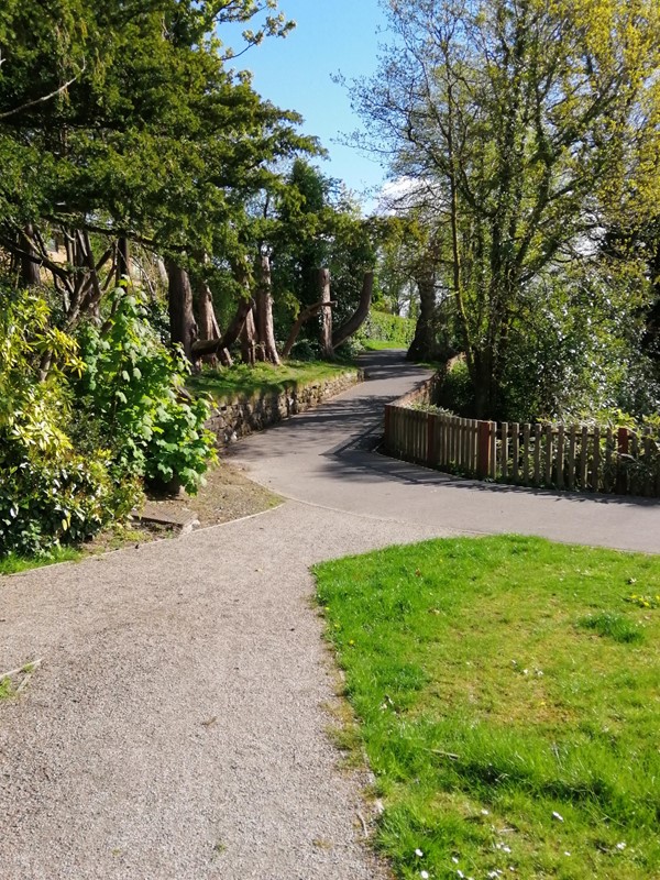 Picture of Hermitage Park