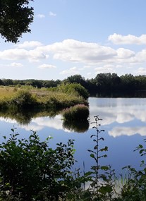 Birnie Loch