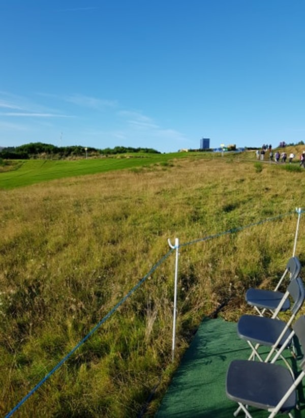 view from viewing platform