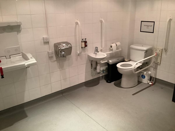 (19) huge disabled toilet