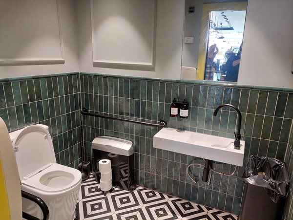 a view of the accessible toilet, showing the toilet, at a good height, with a rail on one side and a grab handle on the opposite wall. The sanitary bill and spare toilet rolls are within reach. The sink has space below to get close in a chair. The tap is easy to hold and operate. The soap is in reach. The mirror is at standing height.