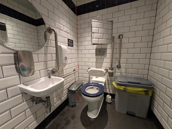 Image of an accessible toilet with a contrasting toilet seat and sink.