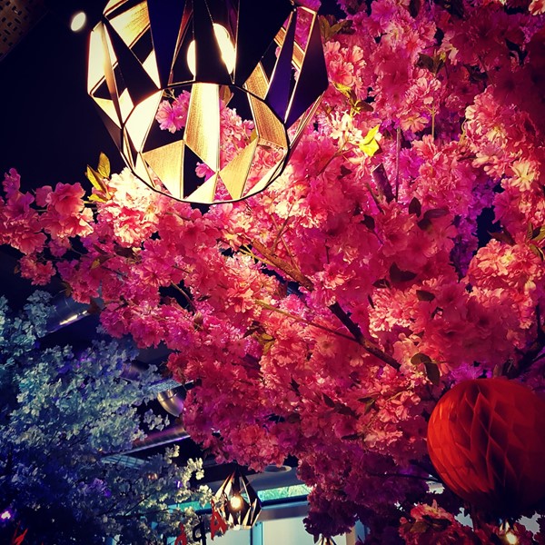 Looking up at the faux blossom trees, one pink, one blue, from our table.