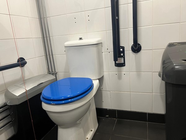 Accessible toilet