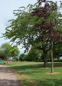 West Park