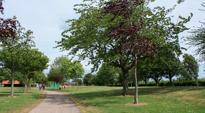 West Park