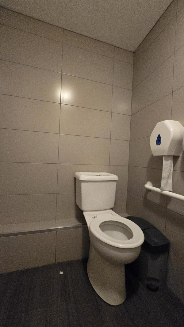 Image of a toilet