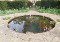 Picture of a pond at Tintinhull Garden